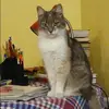 Отзыв от Екатерина Черная